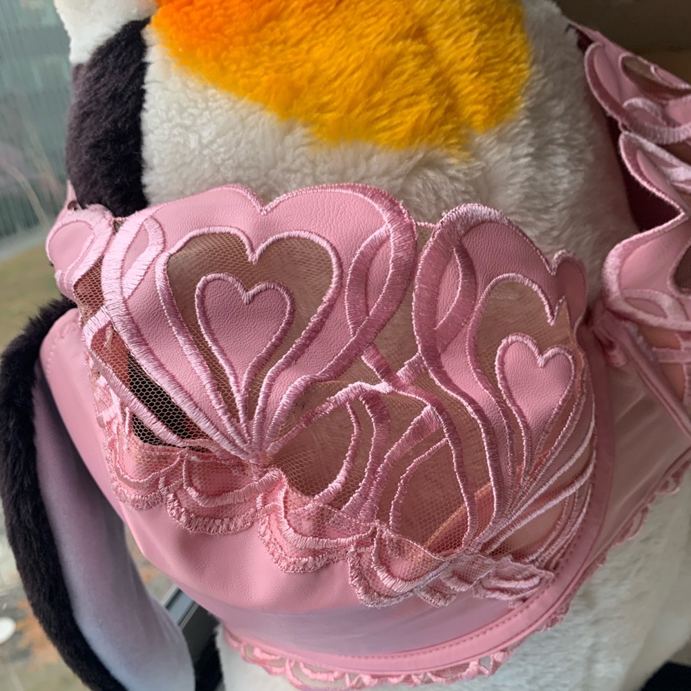Honey Birdette Pink Heart Bra